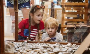 Petoskey Stones at NorthGoods